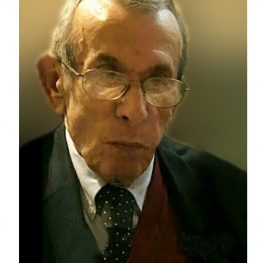Alfonso Malcisi